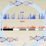 A New Technique that will Transform Epigenetics Research