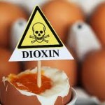 Dioxin in eggs