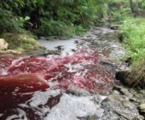 polluted river with coloured effluent from dyehouse