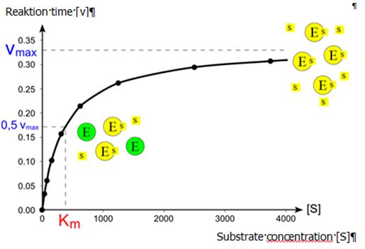 enzyme-saturation-curve